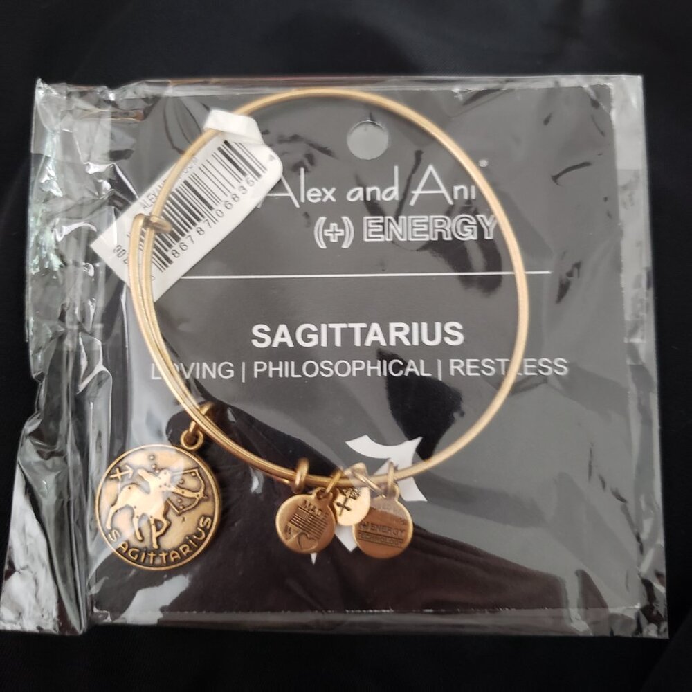 Alex and Ani Sagittarius Bracelet  Bangle NWT     370